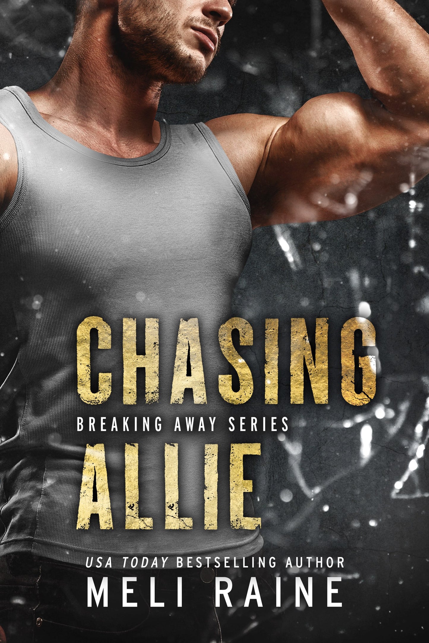 Chasing Allie (Ebook)