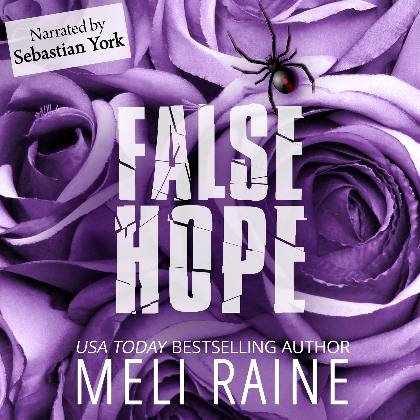 False Hope (Audiobook)