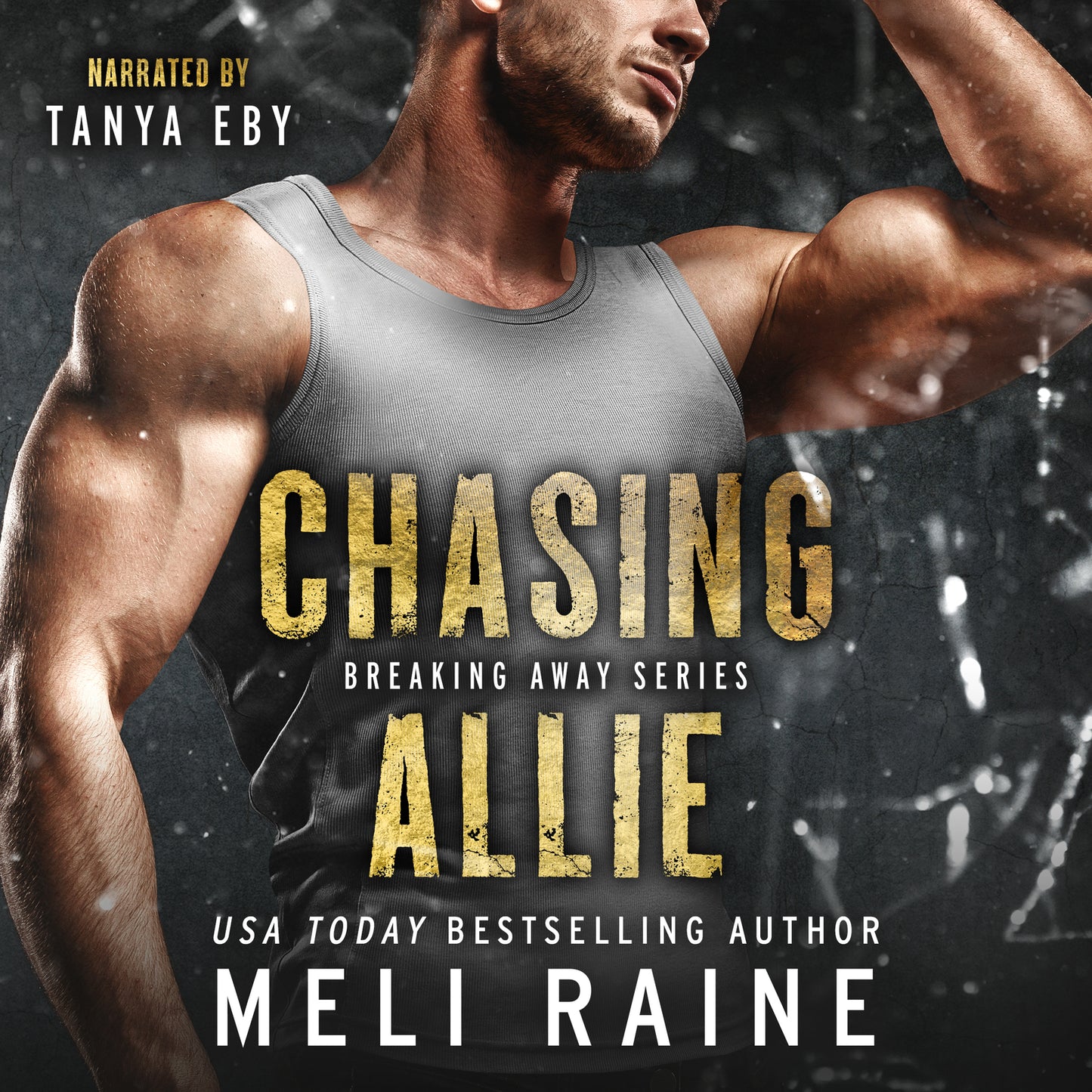 Chasing Allie (Audiobook)