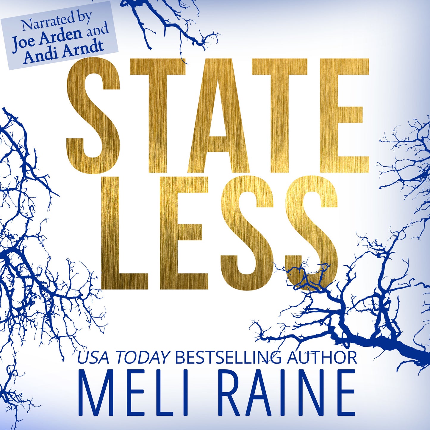 Stateless (Audiobook)
